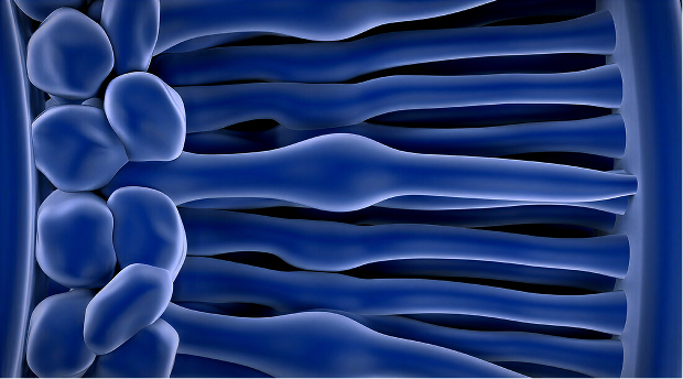 Rectangle 848